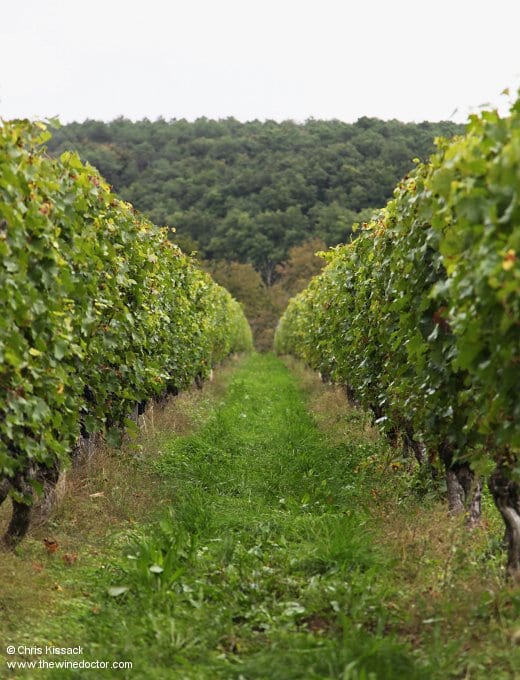 Château de l'Aulée