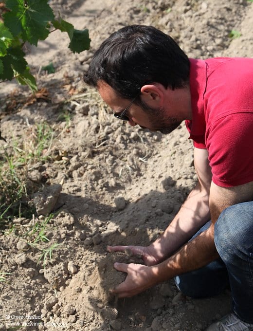 Bernard Baudry, Matthieu inspecting the soils of Les Granges, July 2016 Bernard Baudry