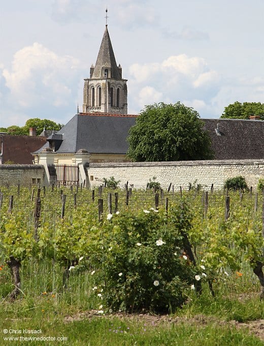 The Clos Nouveau, with the church spire in Benais behind, June 2019 Domane du Bel Air