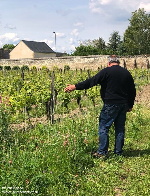 Pierre Gauthier in the Clos Nouveau, in Benais, pictured in 2019 Bourgueil