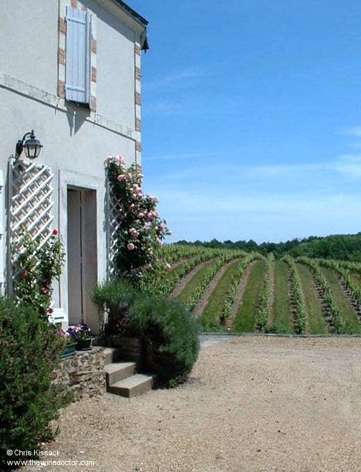 Château Belle-Rive and its vines, July 2004 Château Belle-Rive
