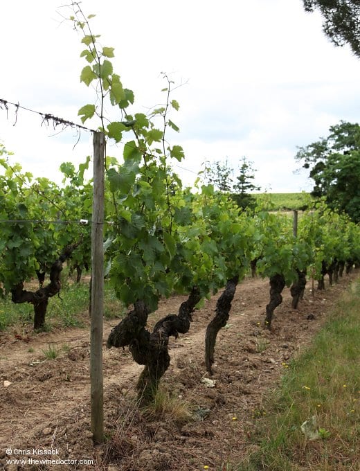 Domaine de la Bergerie