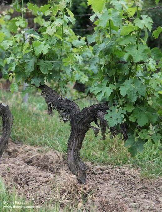 Château de Bois Brinçon