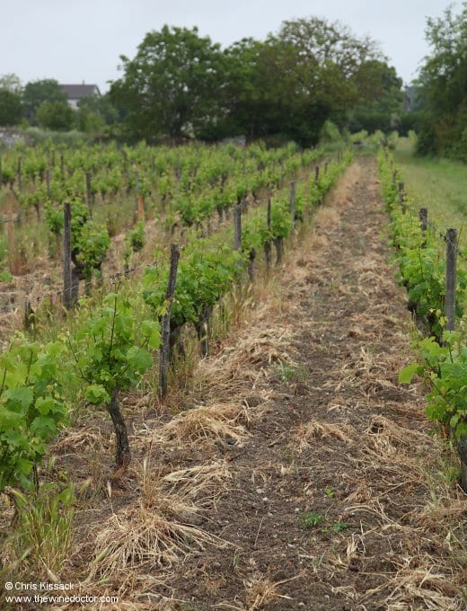 Château de la Bonnelière