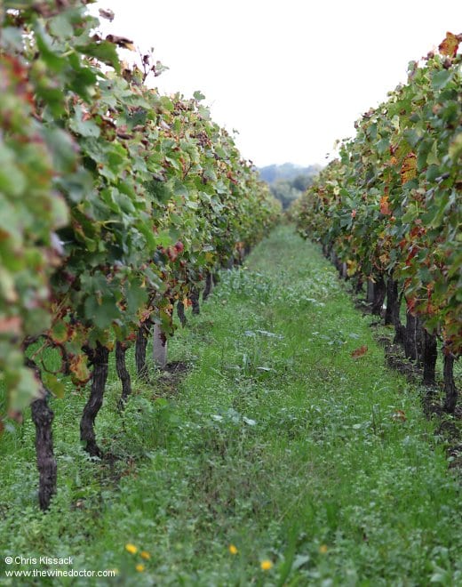 Château Le Bon Pasteur