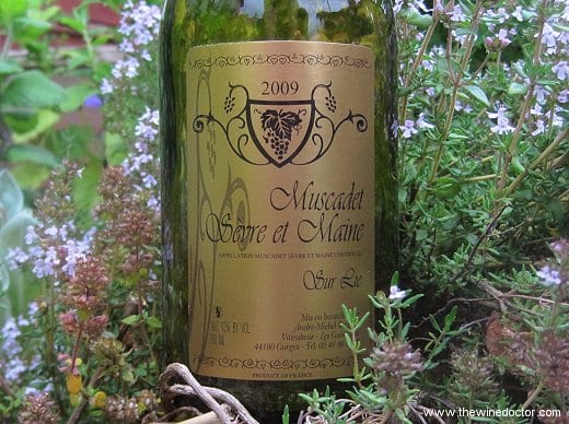 André-Michel Brégeon Muscadet Sèvre et Maine sur lie 2009 André-Michel Brégeon Muscadet Sèvre et Maine sur lie 2009