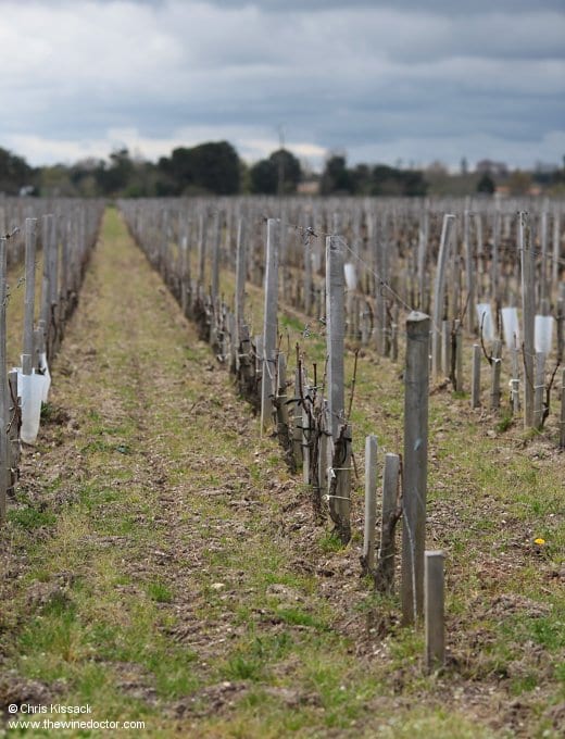 Château Cambon la Pelouse