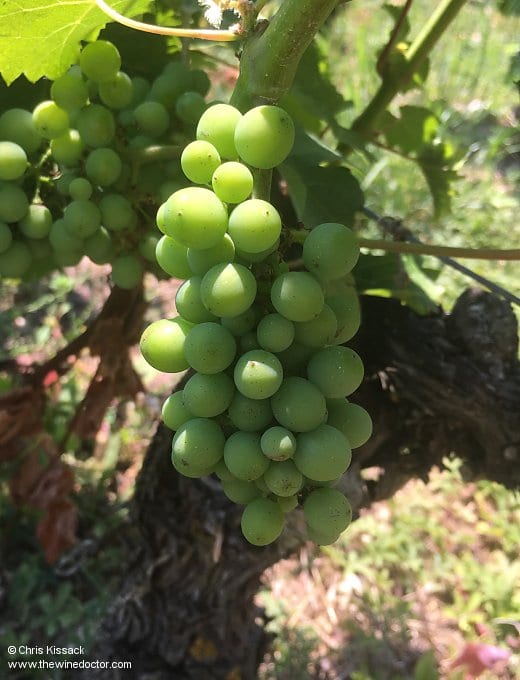 Catherine et Michel Langlois