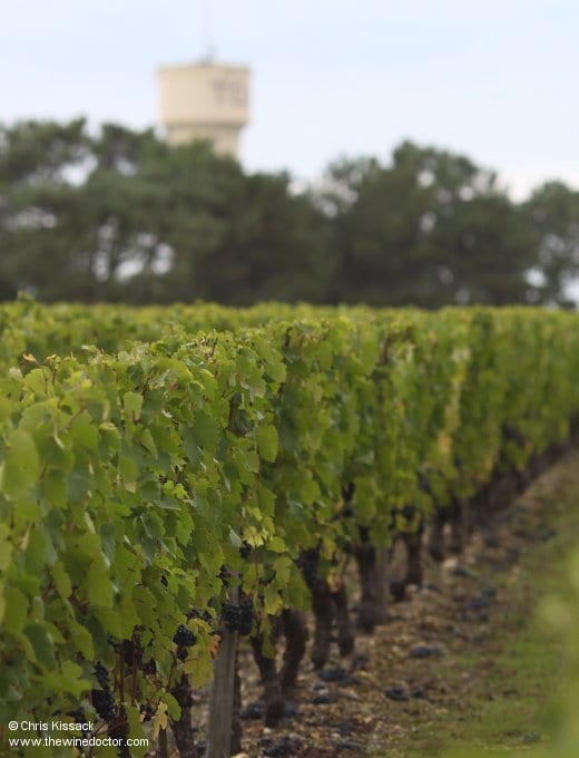 Domaine de la Charmoise