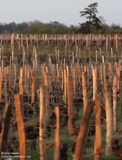 Château Cheval Blanc