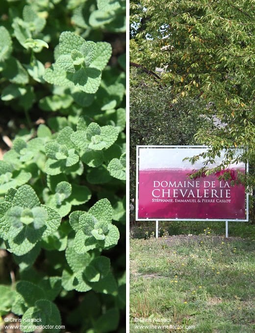 Domaine de la Chevalerie