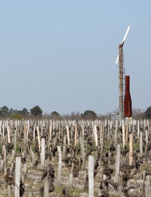 Domaine de Chevalier