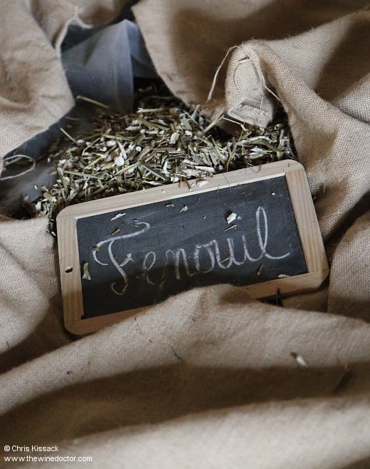 Fenouil (fennel), in the tisanerie at Château Climens, April 2014 Château Climens