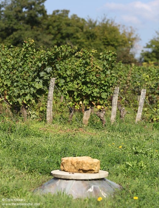 A shaft into the cellars in the Clos Roussely vines, October 2013 Clos Roussely