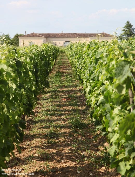 Clos Saint Martin