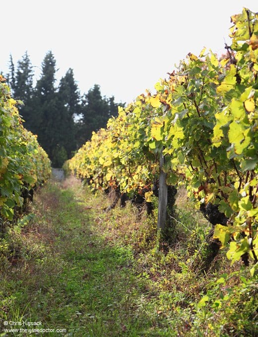Château La Clotte-Cazalis