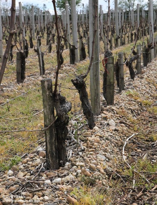 Château Couhins-Lurton