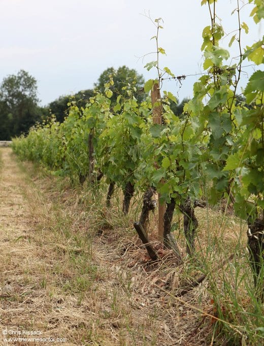Château de Coulaine