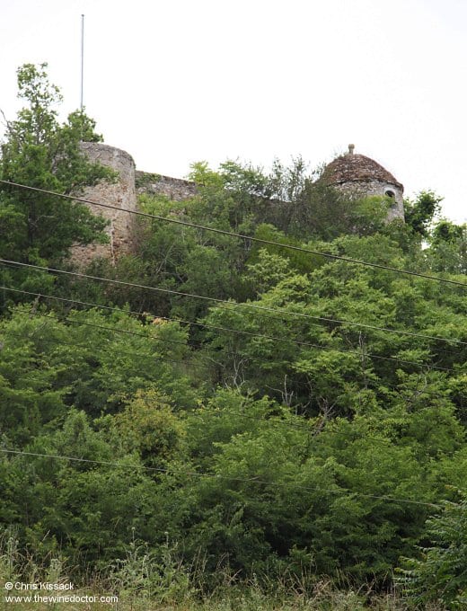 Nicolas Joly & Clos de la Coulée de Serrant