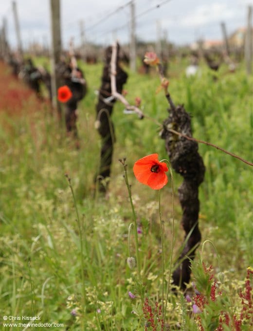 Couvent des Jacobins