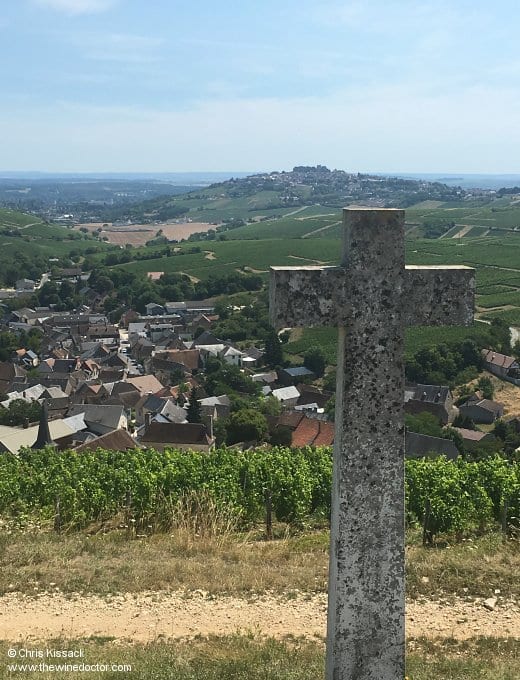 Central Vineyards Wine Guide