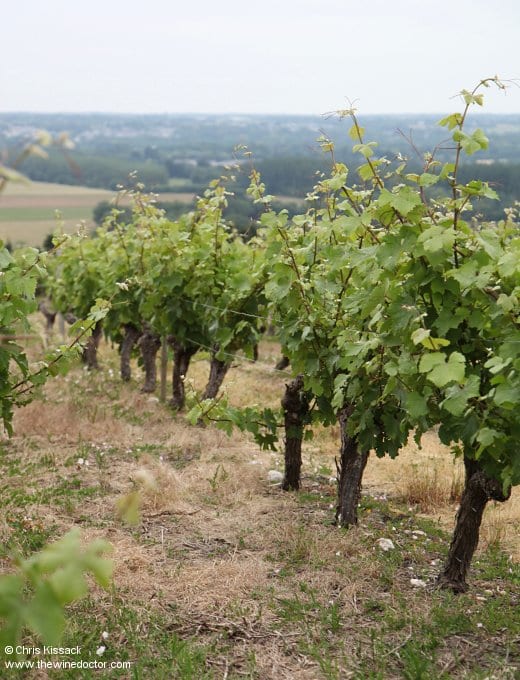 Philippe & Catherine Delesvaux