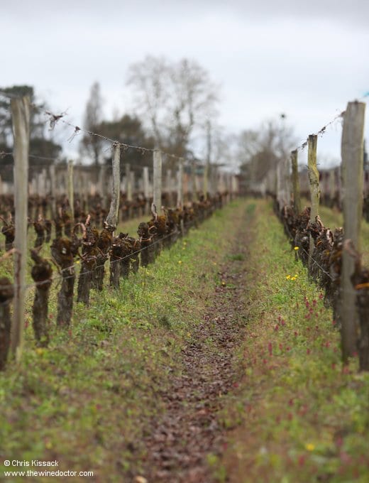 Château La Dominique