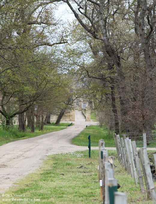 Château Figeac hiding behind its trees, April 2013 Château Figeac