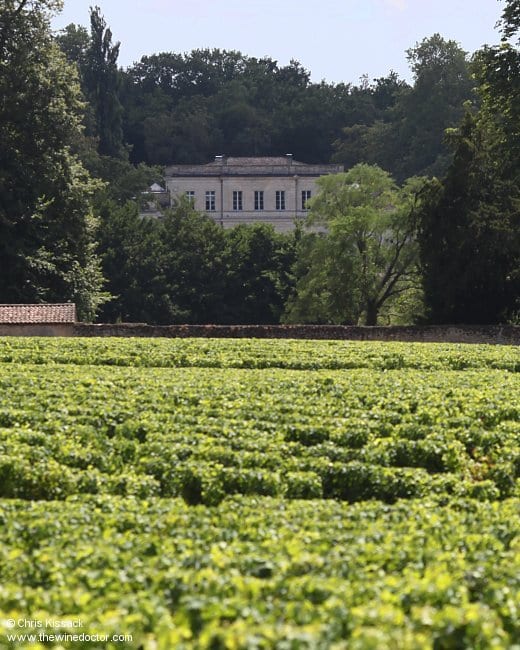 Château Filhot and her vines Château Filhot