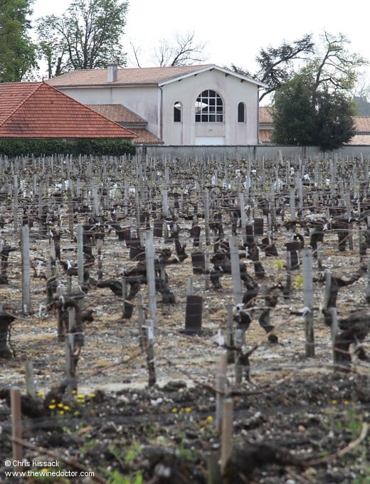 The vines behind Château Fonbadet, April 2014 Château Fonbadet