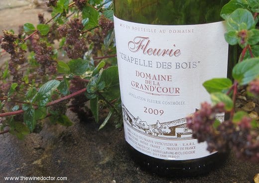 Domaine de la Grand Cour Fleurie Chapelle des Bois 2009