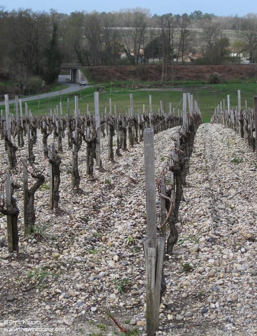 Deep gravel soils at Château Grand-Puy-Lacoste, April 2013 Château Grand-Puy-Lacoste