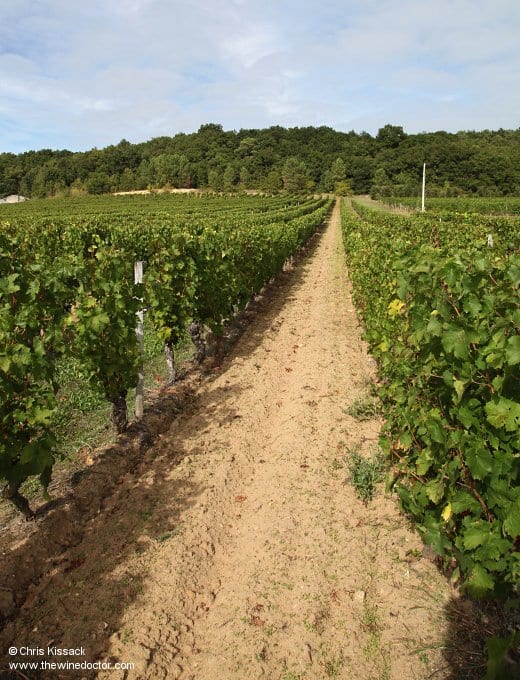 Domaine Grosbois