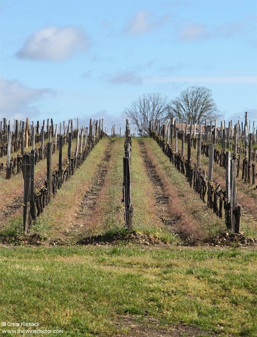 Château Guillot-Clauzel