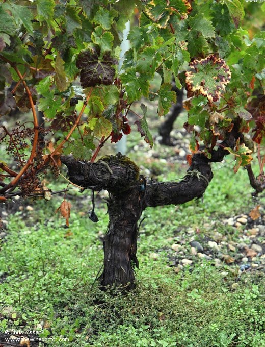 Château Haut-Lagrange