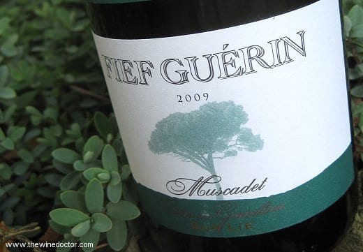 Domaine des Herbauges Muscadet Côtes de Grandlieu sur lie Fief Guérin 2009