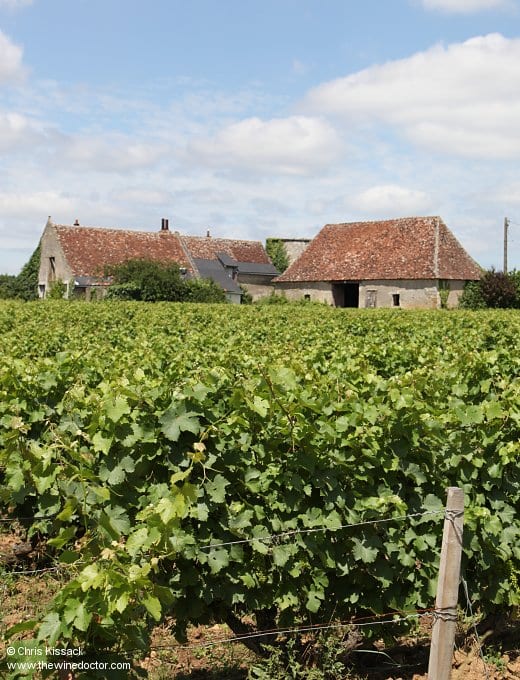 Domaine Huet