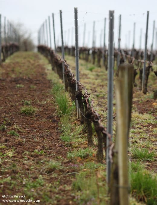 Château Joanin Bécot