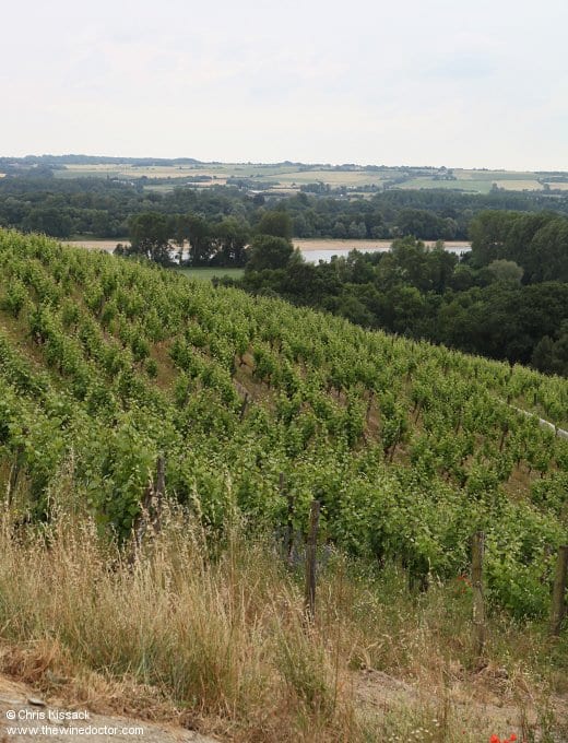 Loire Valley Climate