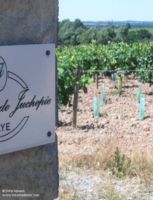 Domaine de Juchepie