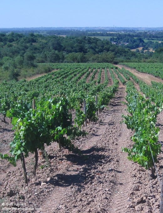 Domaine de Juchepie