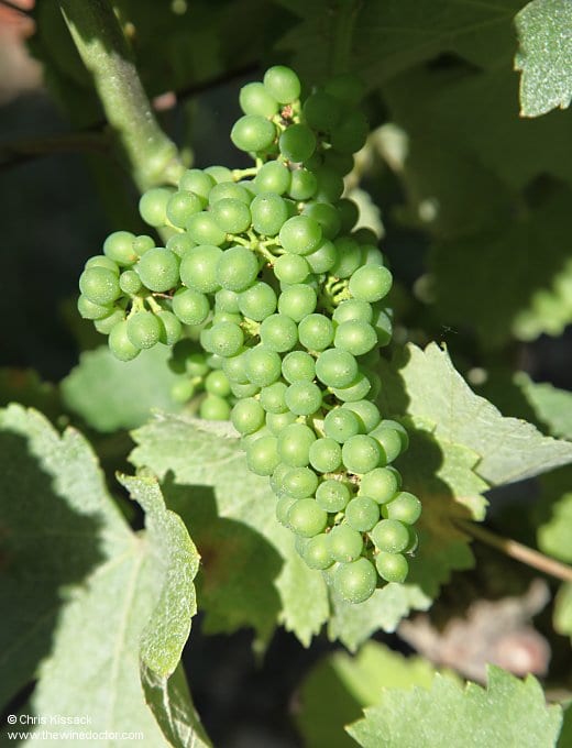 Julien et Clément Raimbault