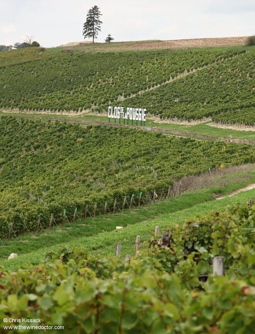 Central Vineyard Geology: Oxfordian caillottes and griottes