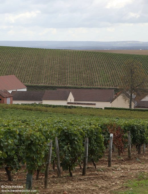 Domaine de Ladoucette, Comte Lafond, Château du Nozet