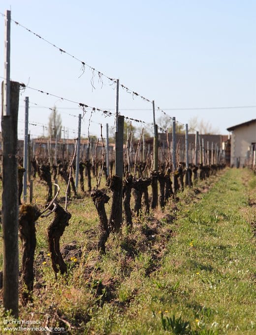 Château La Fleur Morange