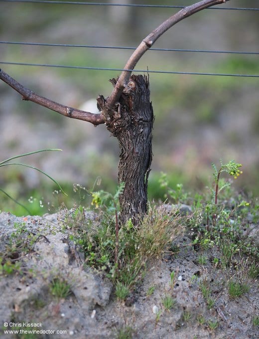 Château La Marzelle