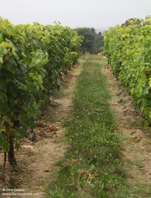 Lamé Delisle Boucard