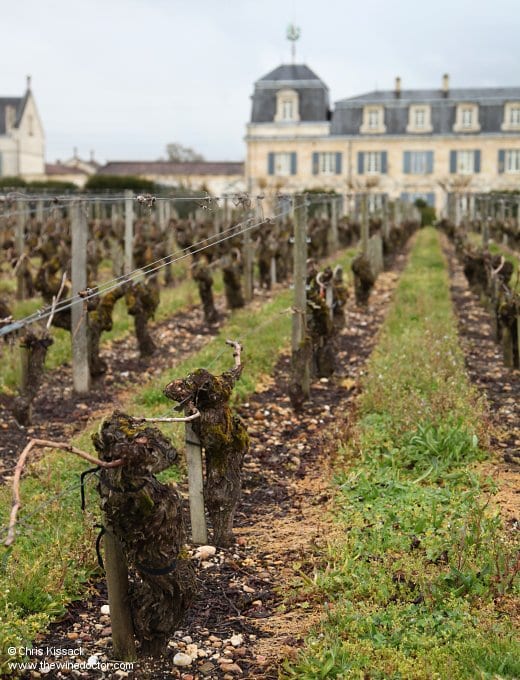 Old vines and gravel, Château La Mission Haut-Brion, April 2013 Château La Mission Haut-Brion