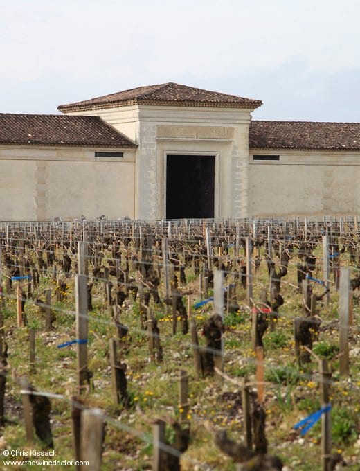 Vines and refurbished buildings at Château Latour, April 2014 Château Latour