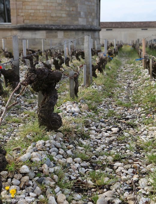 Gravel and vines at the foot of the dovecot, Château Latour, April 2014 Château Latour